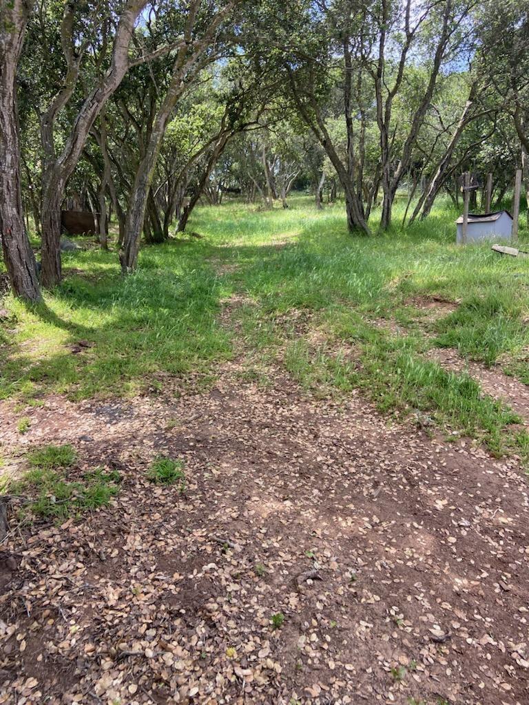 1148 Via Del Sol Road Salinas, CA 93907 - Photo 20 of 20 Gallery Image 20