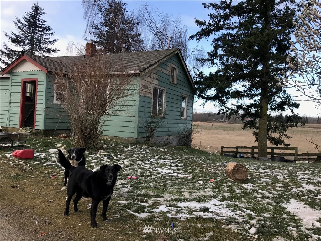 3068 Lampman Road Ferndale, WA 98248 - Photo 7 of 11