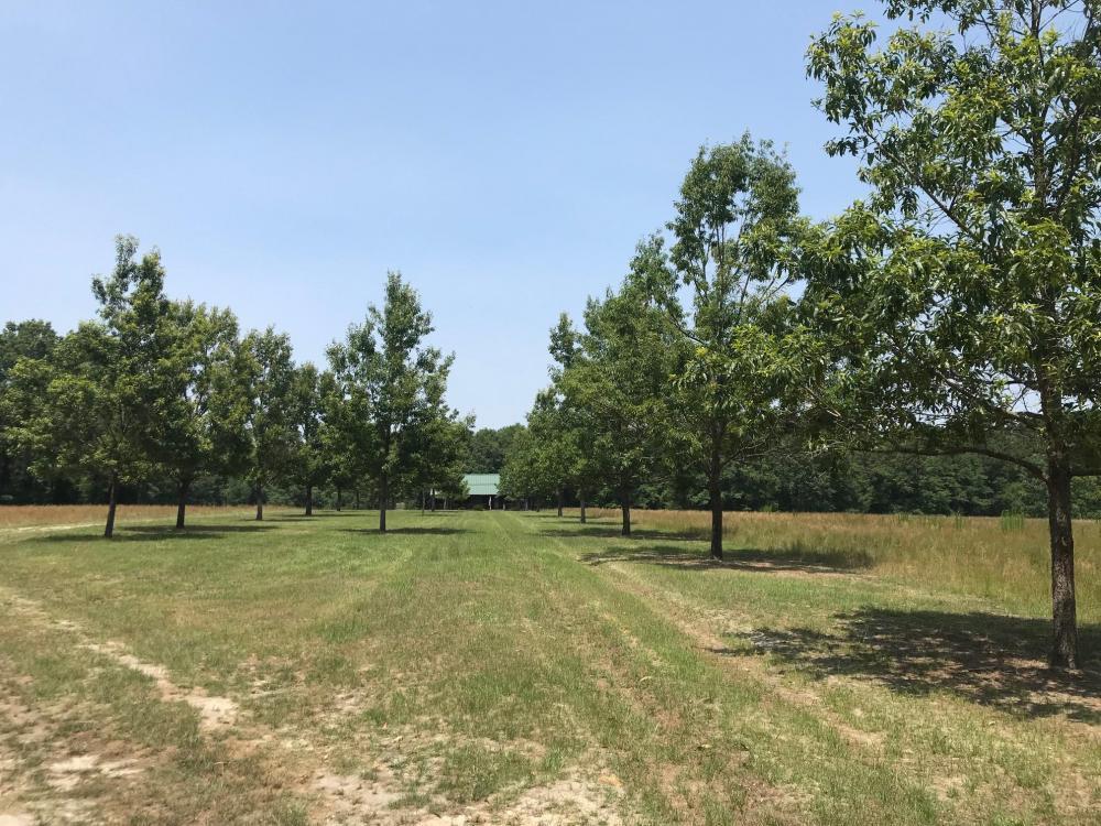 600 Thorntree Road Salters, SC 29590 - Photo 1 of 34 1