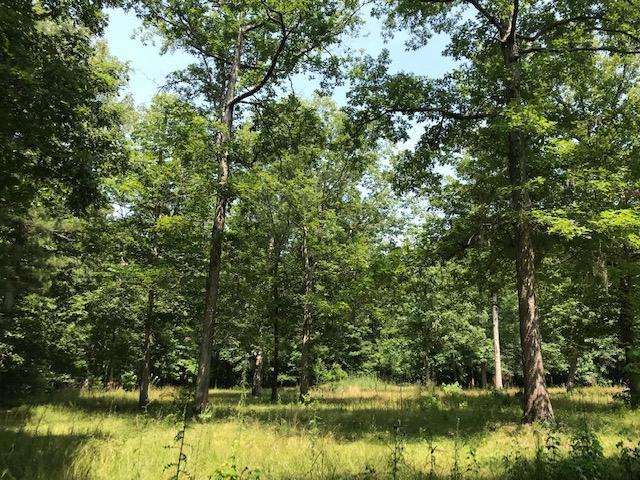 600 Thorntree Road Salters, SC 29590 - Photo 12 of 34 12