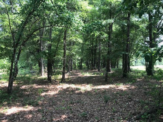 600 Thorntree Road Salters, SC 29590 - Photo 13 of 34 13