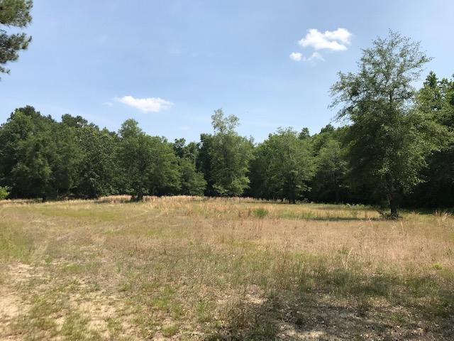 600 Thorntree Road Salters, SC 29590 - Photo 15 of 34 15