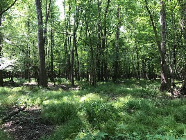 600 Thorntree Road Salters, SC 29590 - Photo 17 of 34 17