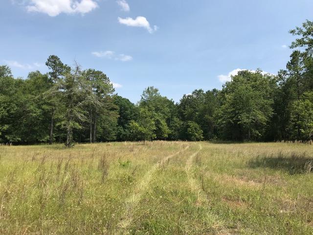 600 Thorntree Road Salters, SC 29590 - Photo 19 of 34 19