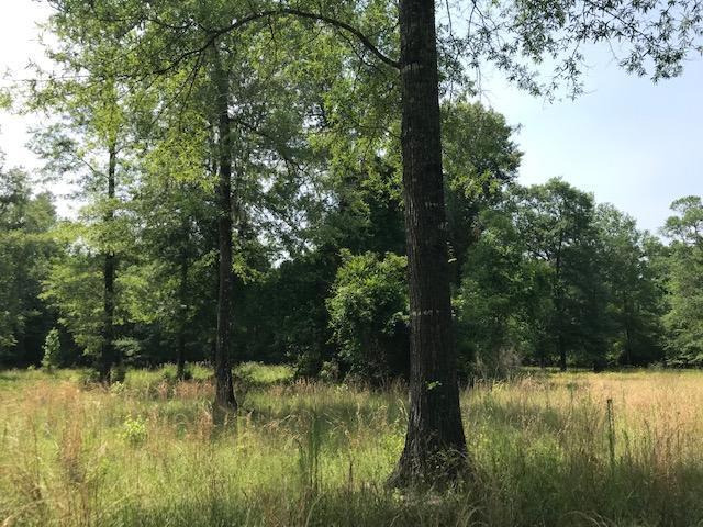 600 Thorntree Road Salters, SC 29590 - Photo 20 of 34 20