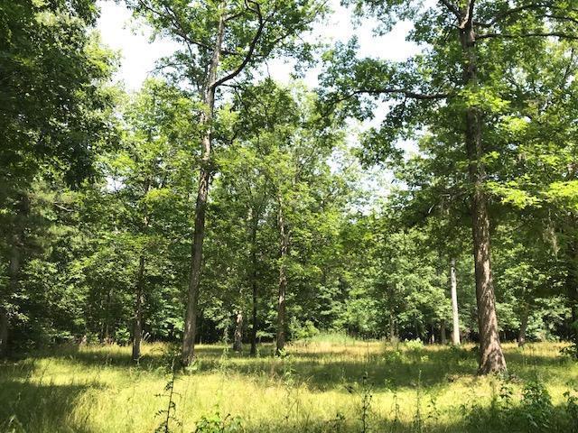 600 Thorntree Road Salters, SC 29590 - Photo 21 of 34 21