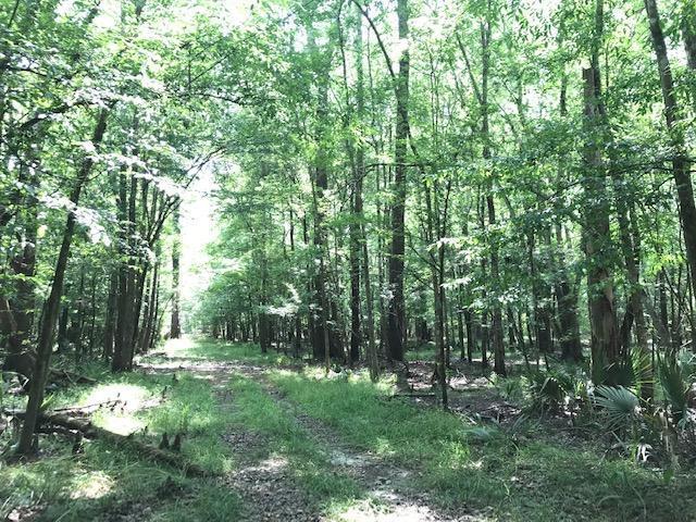 600 Thorntree Road Salters, SC 29590 - Photo 23 of 34 23