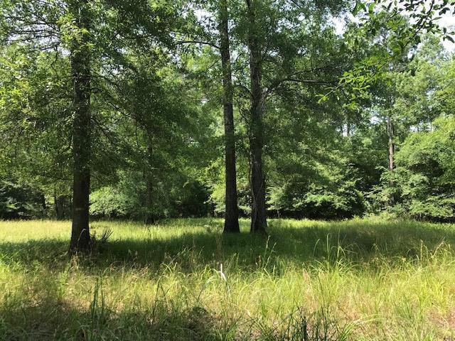 600 Thorntree Road Salters, SC 29590 - Photo 24 of 34 24