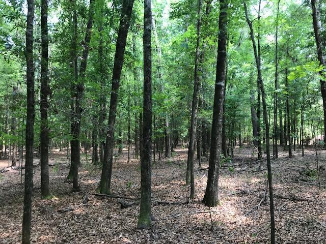 600 Thorntree Road Salters, SC 29590 - Photo 25 of 34 25