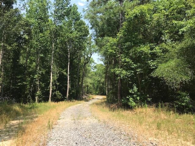 600 Thorntree Road Salters, SC 29590 - Photo 6 of 34 6