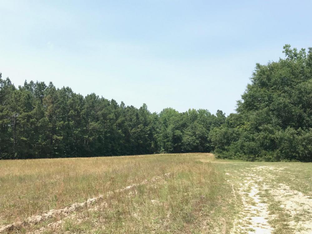 600 Thorntree Road Salters, SC 29590 - Photo 8 of 34 8