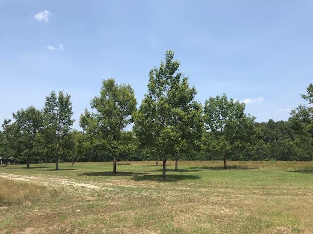 600 Thorntree Road Salters, SC 29590 - Photo 9 of 34 9
