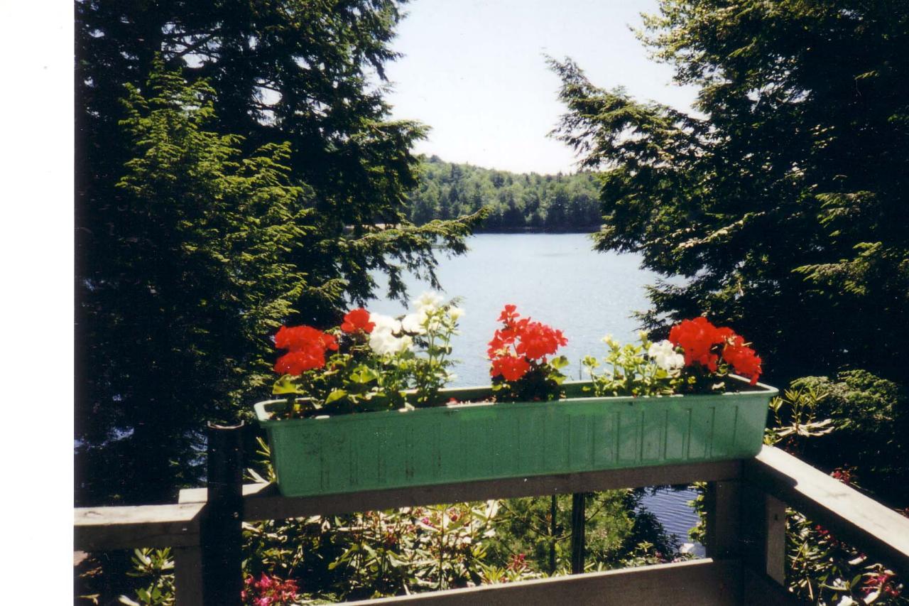 82 Porcupine Point Road Tolland, MA 01034 - Photo 12 of 18 deck