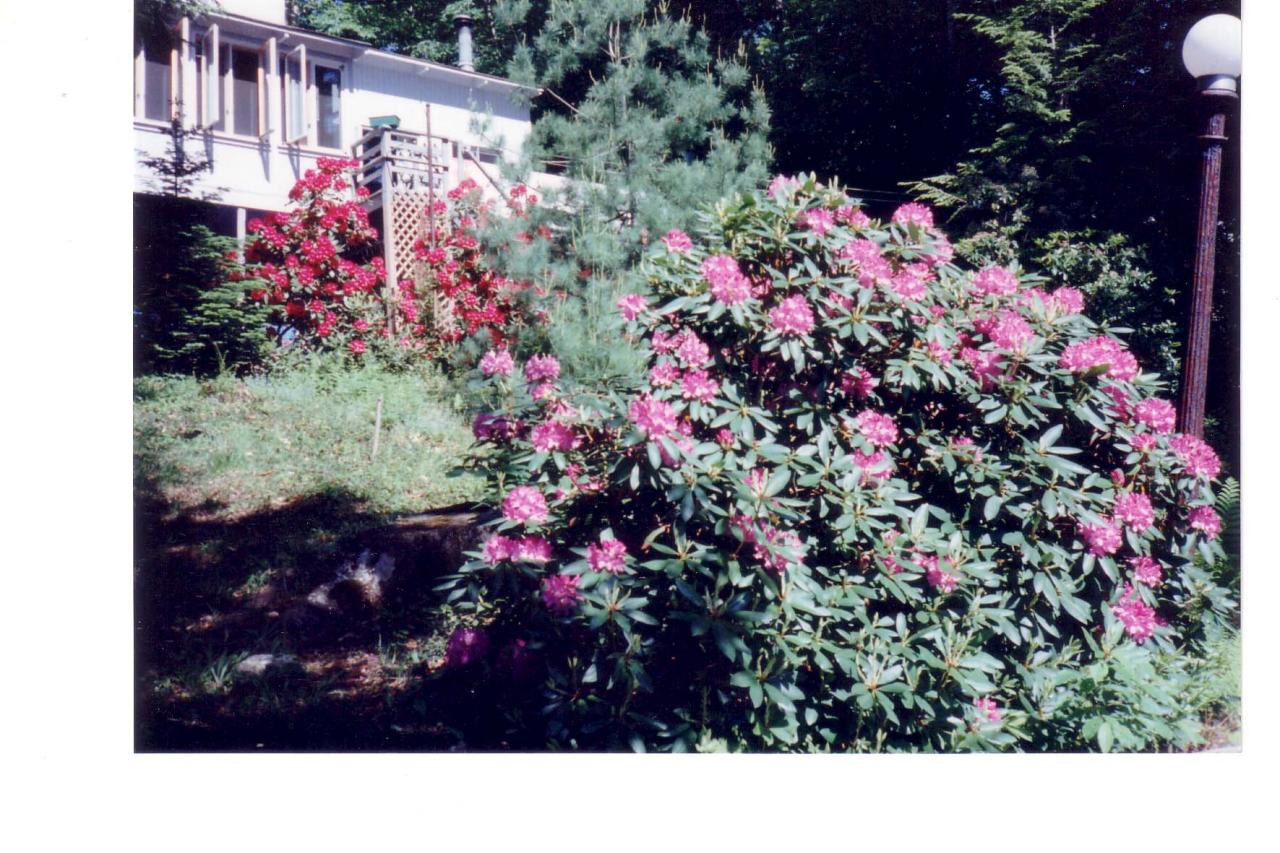 82 Porcupine Point Road Tolland, MA 01034 - Photo 13 of 18 lots of color