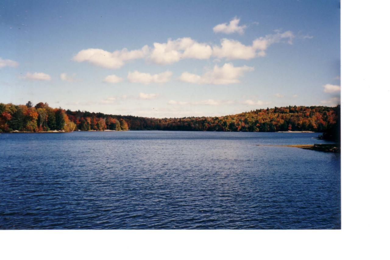 82 Porcupine Point Road Tolland, MA 01034 - Photo 14 of 18 cranberry pond