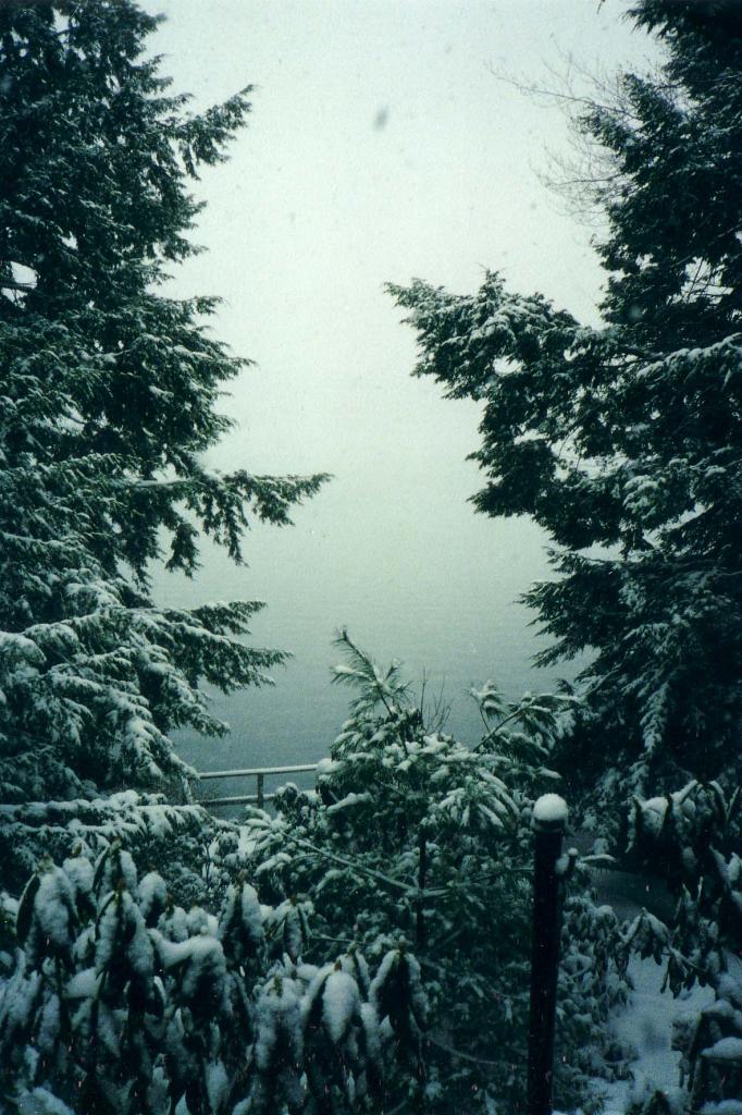 82 Porcupine Point Road Tolland, MA 01034 - Photo 7 of 18 winter wonderland