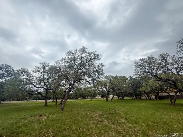 a view of yard with grass and trees