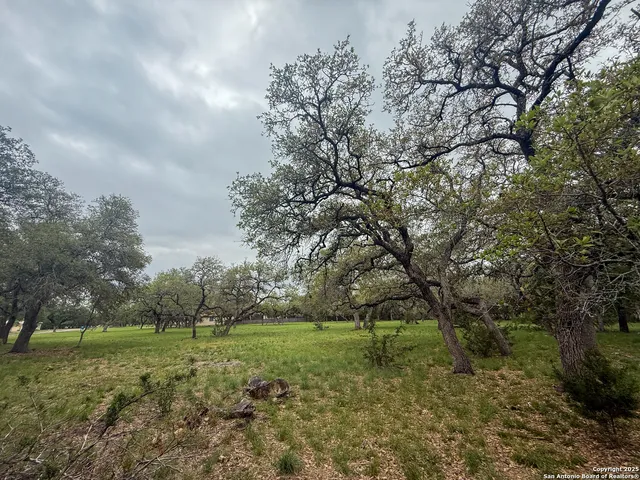 a big yard with lots of green space