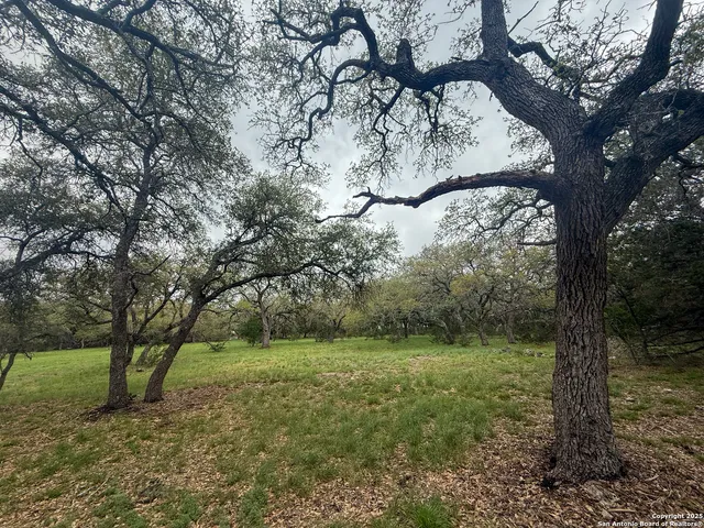 a big yard with lots of green space and trees