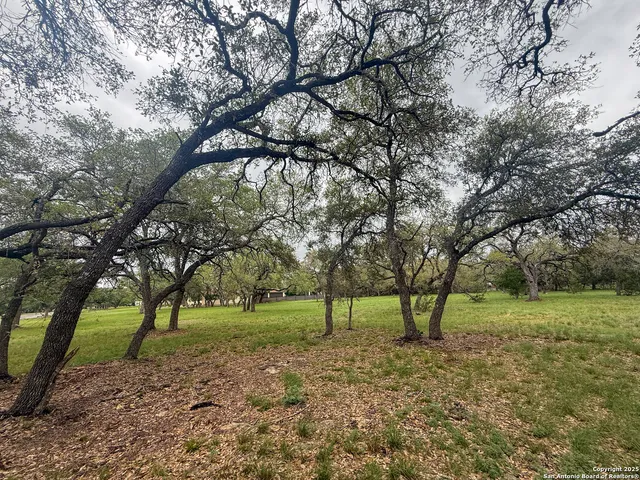 a view of a yard with tree s