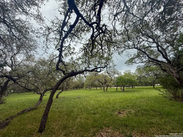 a green field with lots of trees