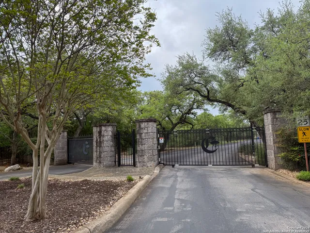 a view of a yard with plants and trees