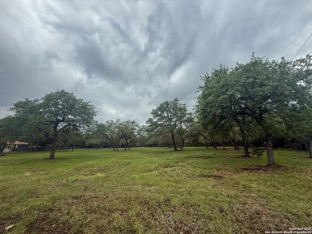 a view of a grassy field