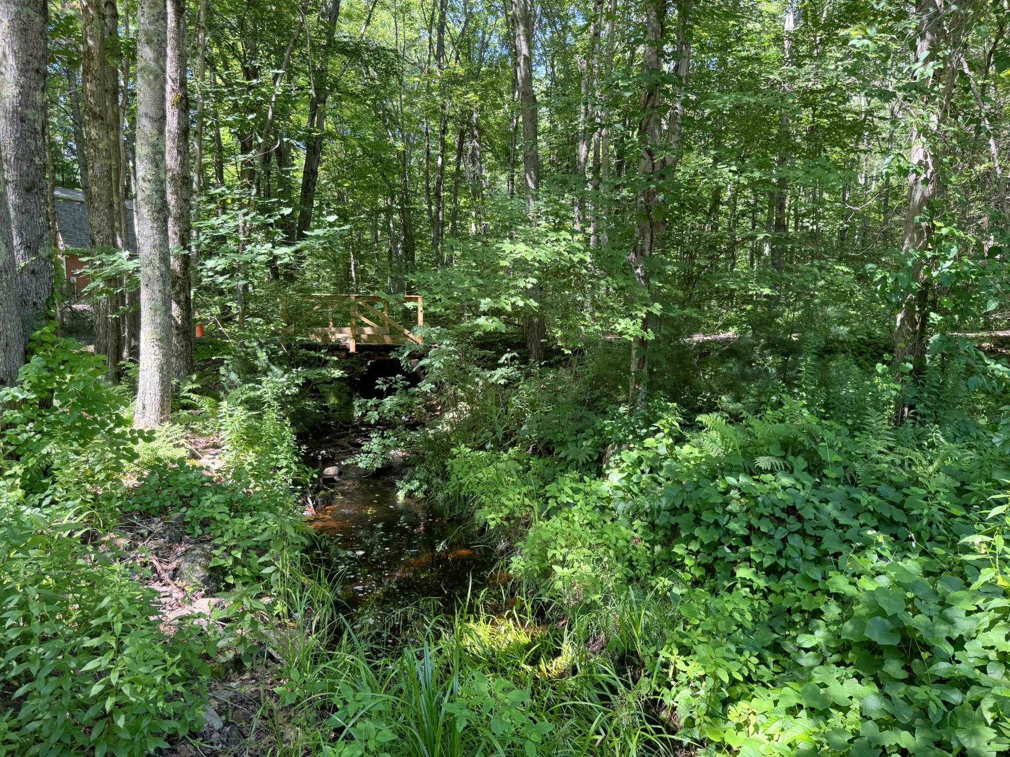 6 Saddlepath Road Raymond, NH 03077 - Photo 35 of 36