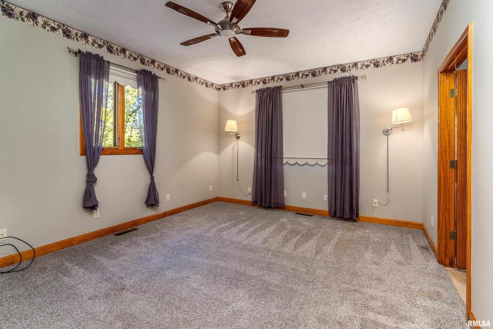 125 Princess Lane Carbondale, IL 62901 - Photo 17 of 64
