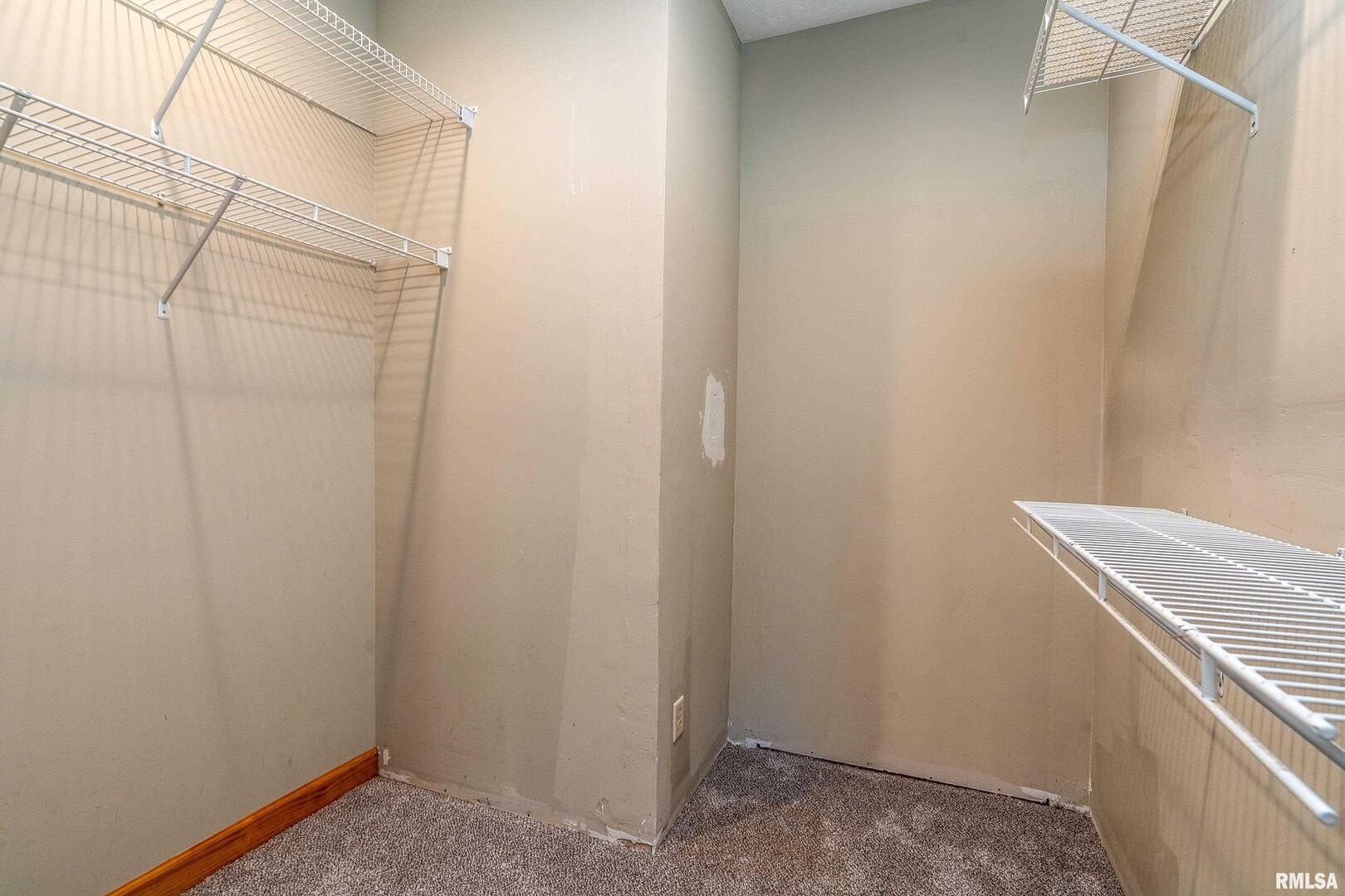 125 Princess Lane Carbondale, IL 62901 - Photo 22 of 64