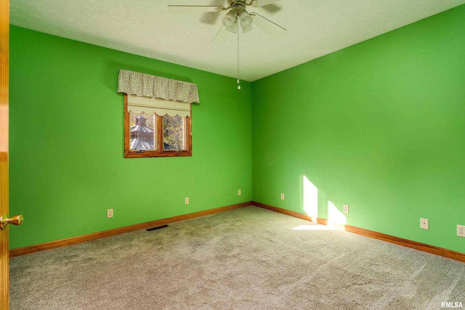 125 Princess Lane Carbondale, IL 62901 - Photo 23 of 64