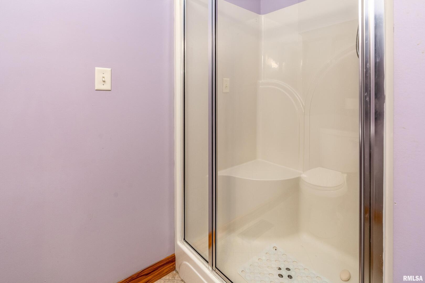 125 Princess Lane Carbondale, IL 62901 - Photo 43 of 64