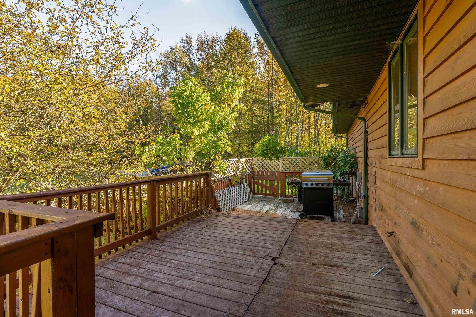 125 Princess Lane Carbondale, IL 62901 - Photo 47 of 64