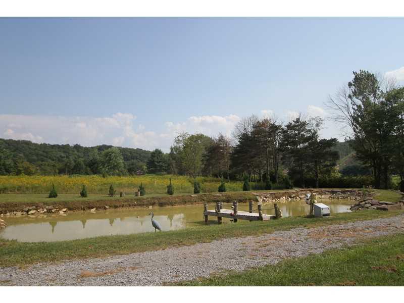 458 School Road Clinton, PA 15026 - Photo 7 of 25 Land/Lot. The Natural Pond, which has the ultimate filtration system by AIRBOOST, is stocked with dozens of beautiful large Koi