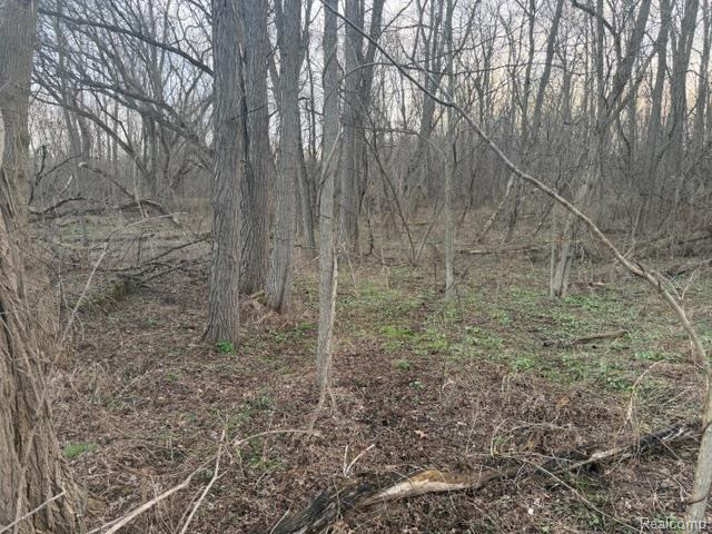 3940 Demode Road Holly, MI 48442 - Photo 3 of 4