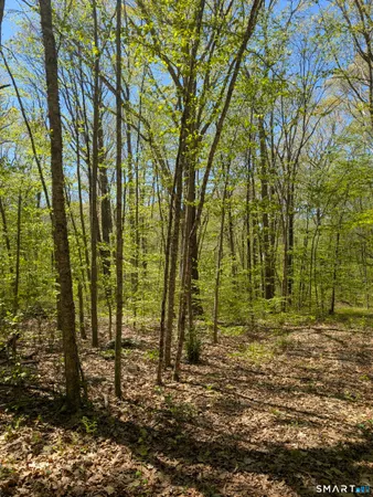a view of outdoor space with trees