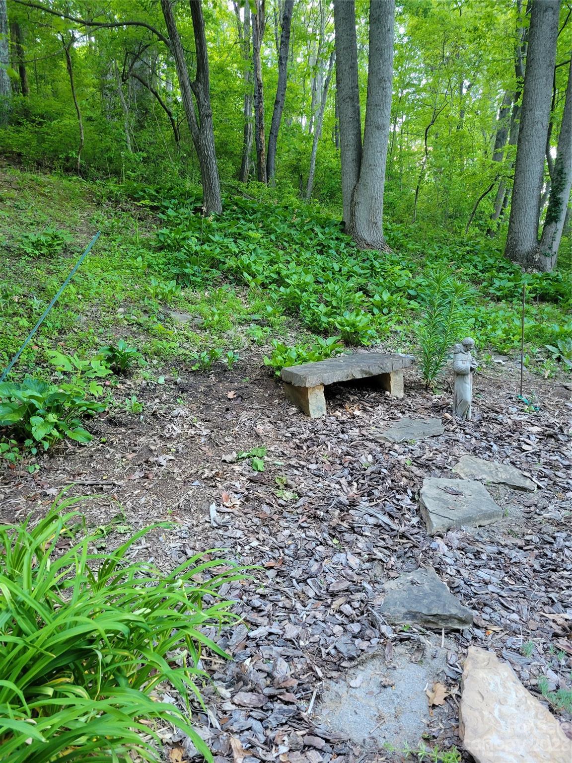 46 North Pershing Road Asheville, NC 28805 - Photo 8 of 18 Gallery Image 8