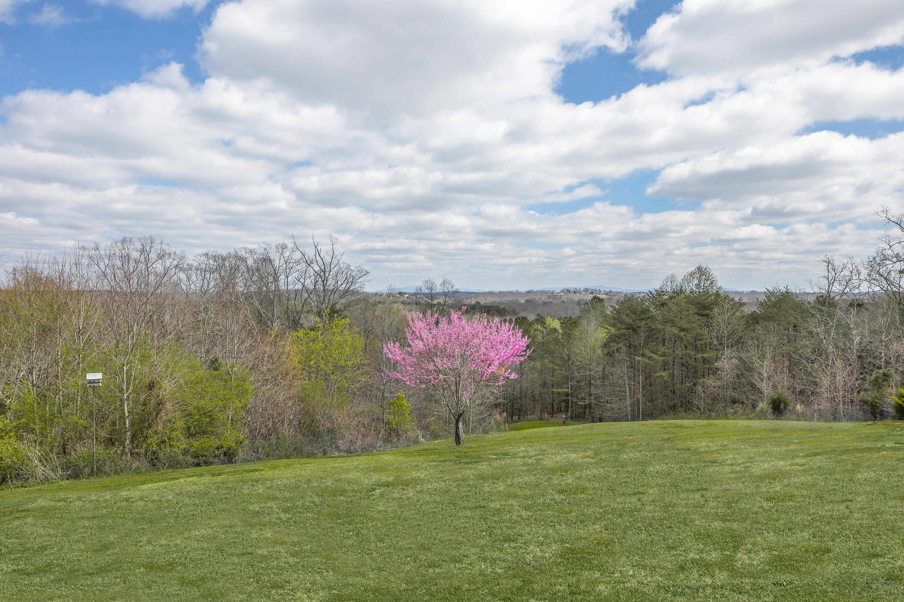 4226 McDonald Road Apison, TN 37302 - Photo 9 of 51 4226 McDonald Rd_Back Yard 1