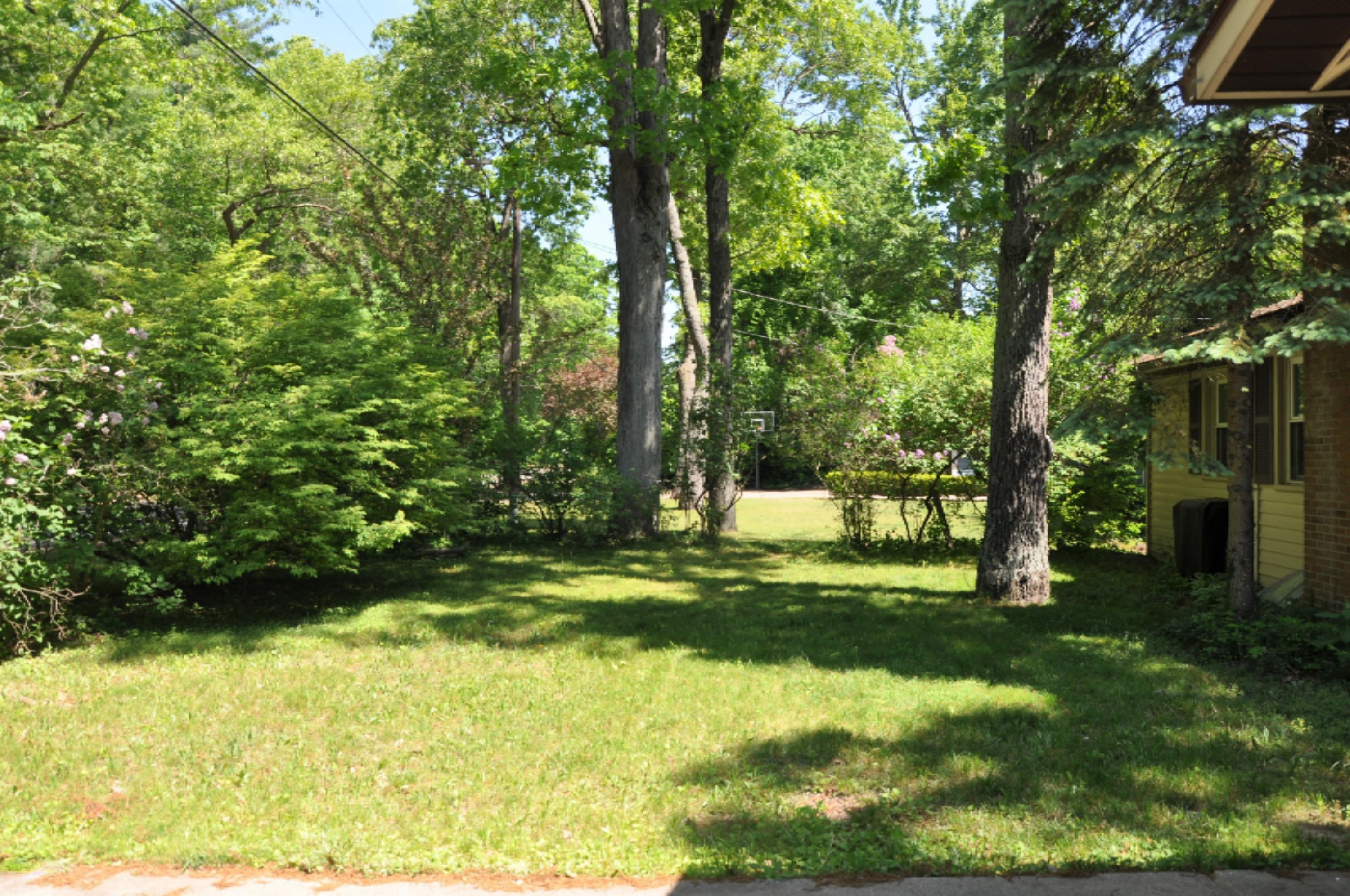 18150 North Fruitport Road Spring Lake, MI 49456 - Photo 4 of 41 3-Front Yard