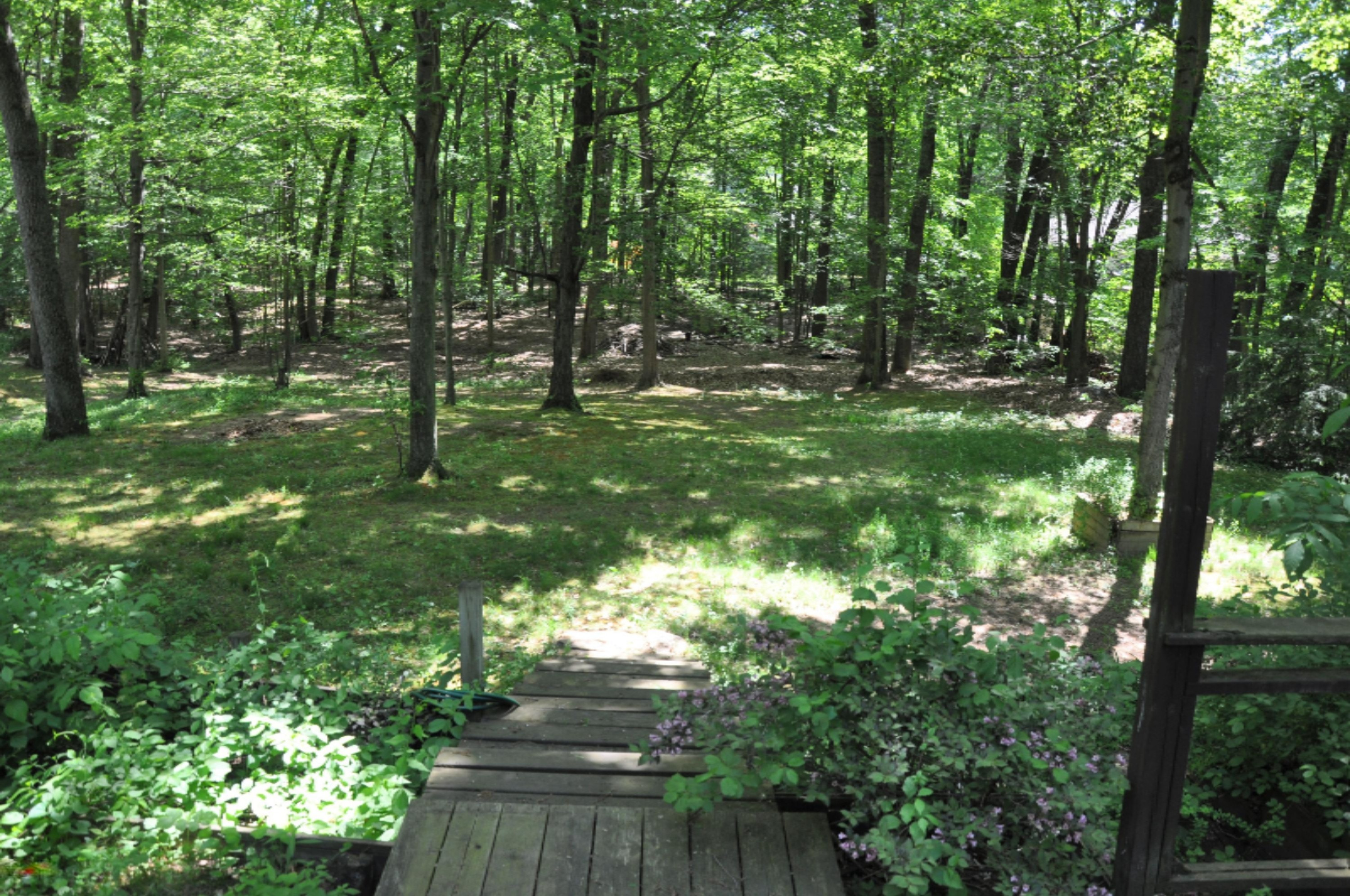 18150 North Fruitport Road Spring Lake, MI 49456 - Photo 6 of 41 5-Back Yard
