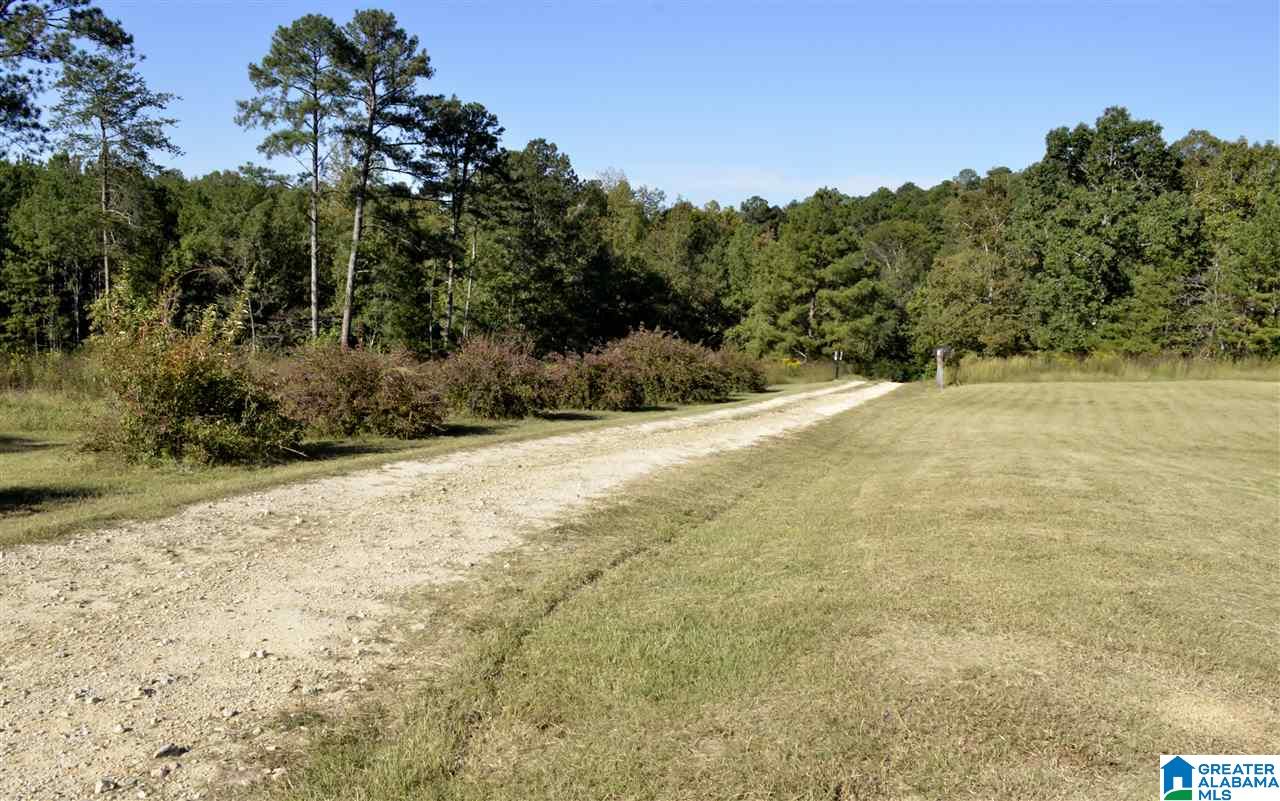 516 Wilson Mine Road Piedmont, AL 36272 - Photo 30 of 35