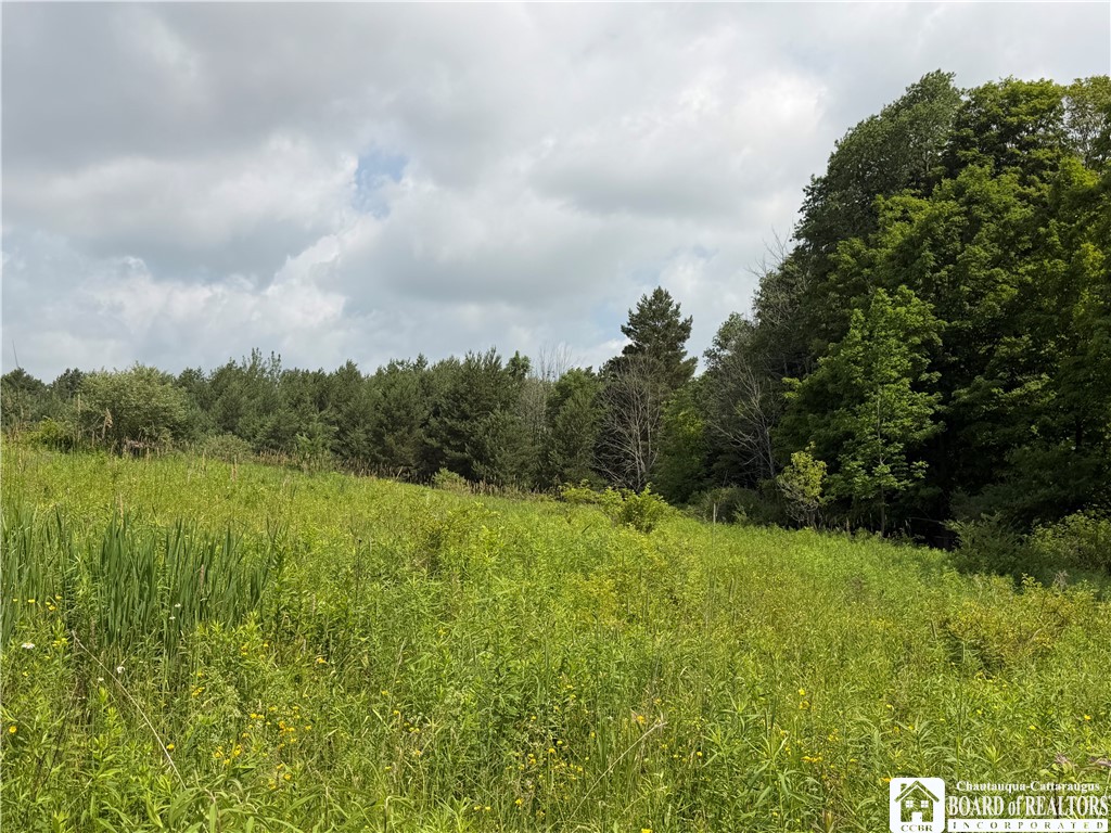 2751 Canfield Road Cohocton, NY 14826 - Photo 33 of 50