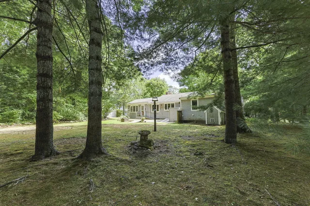 a backyard of a house with a garden and plants