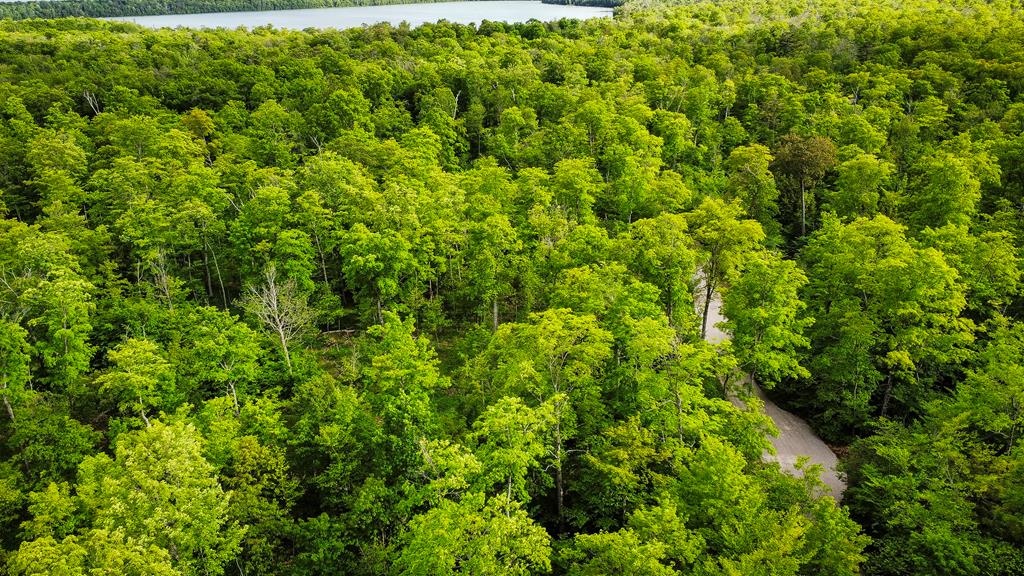 Tbd Lot4 Isle View Road Ellison Bay, WI 54210 - Photo 5 of 20