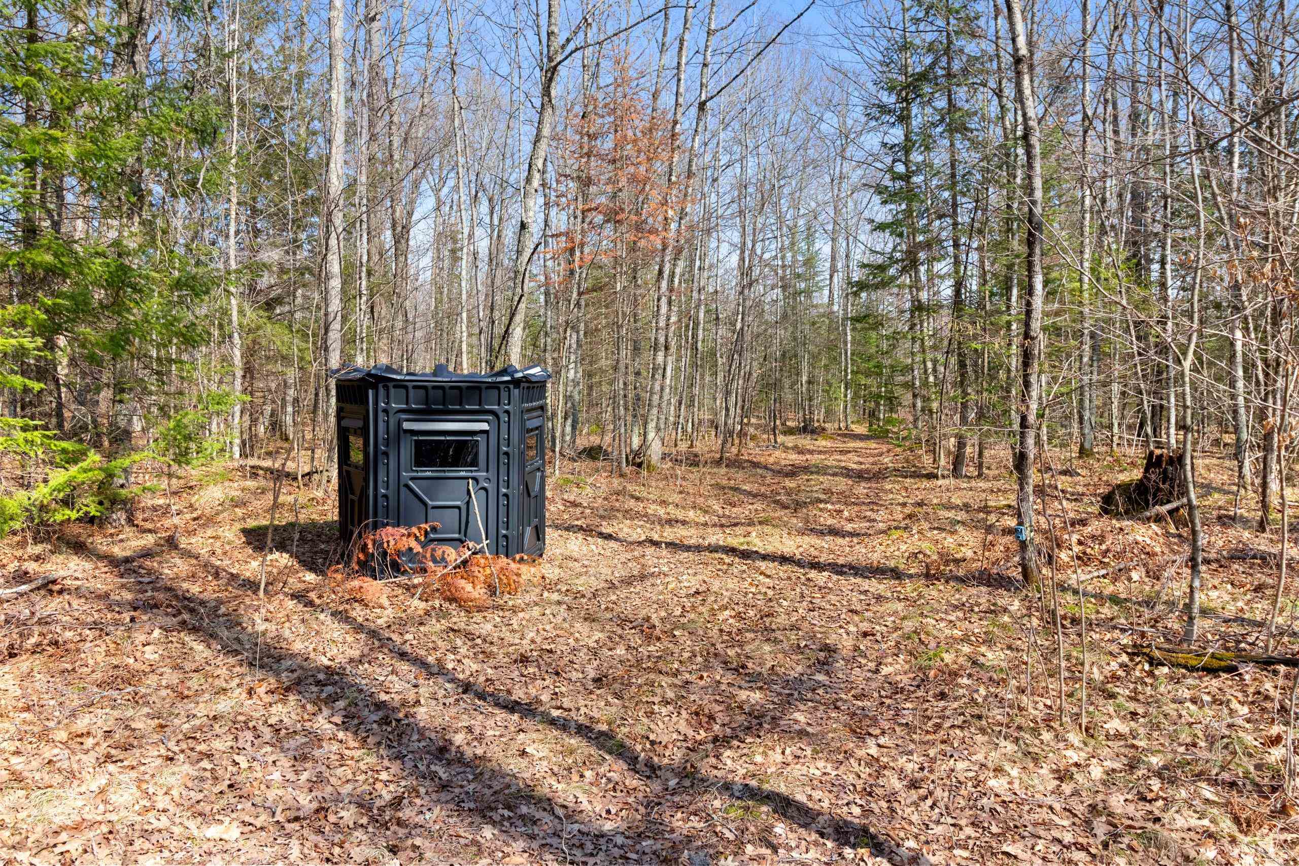 Buettner Road, Unit 2 White Lake, WI 54491 - Photo 5 of 6