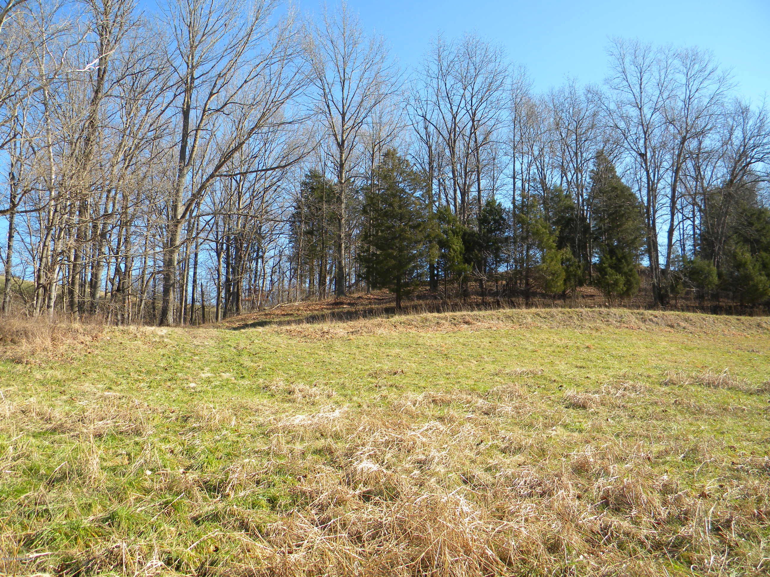 9484 Mt Eden Road Waddy, KY 40076 - Photo 57 of 63 DSCN4399