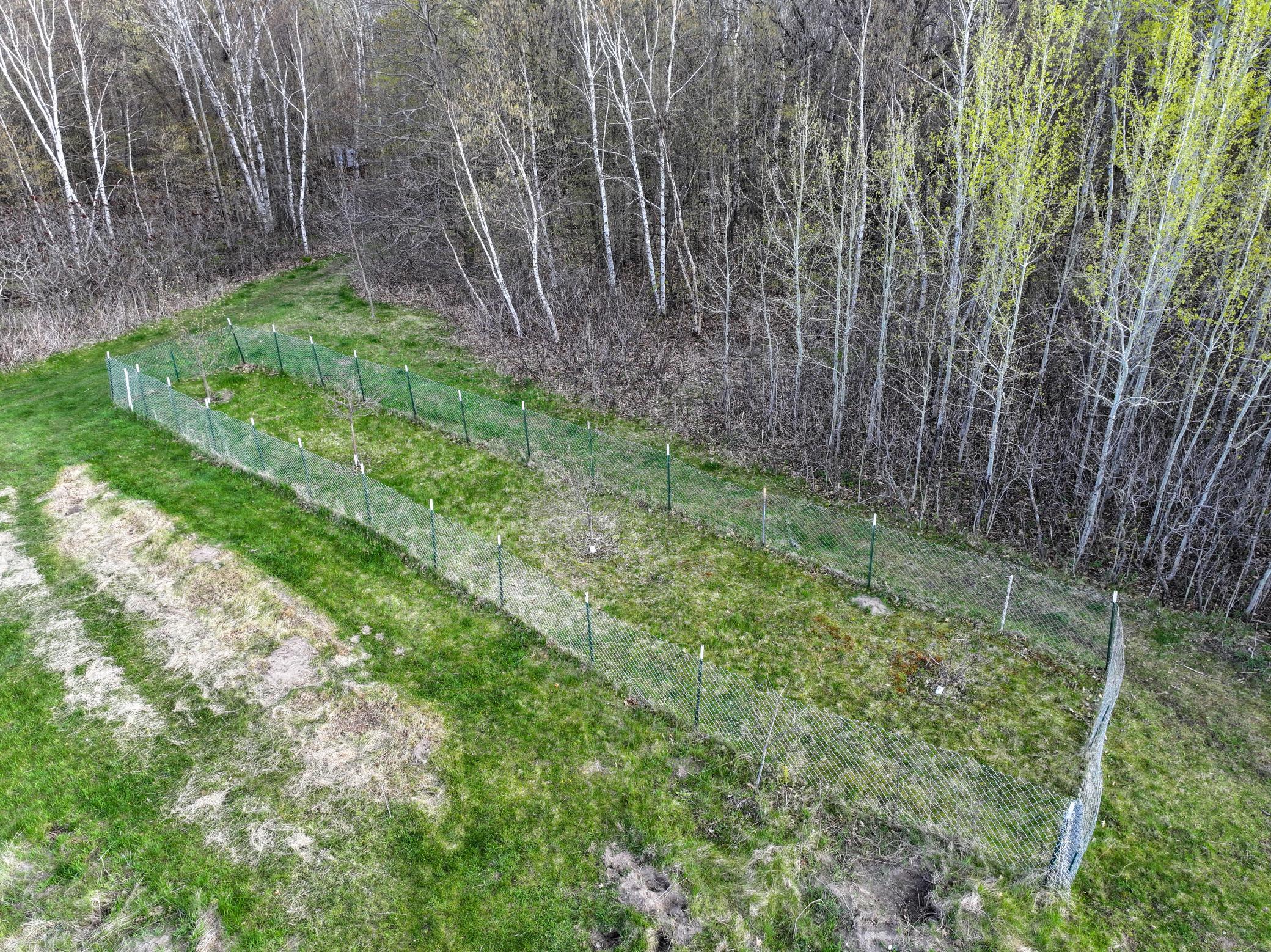 21945 County 38 Long Prairie, MN 56347 - Photo 60 of 115