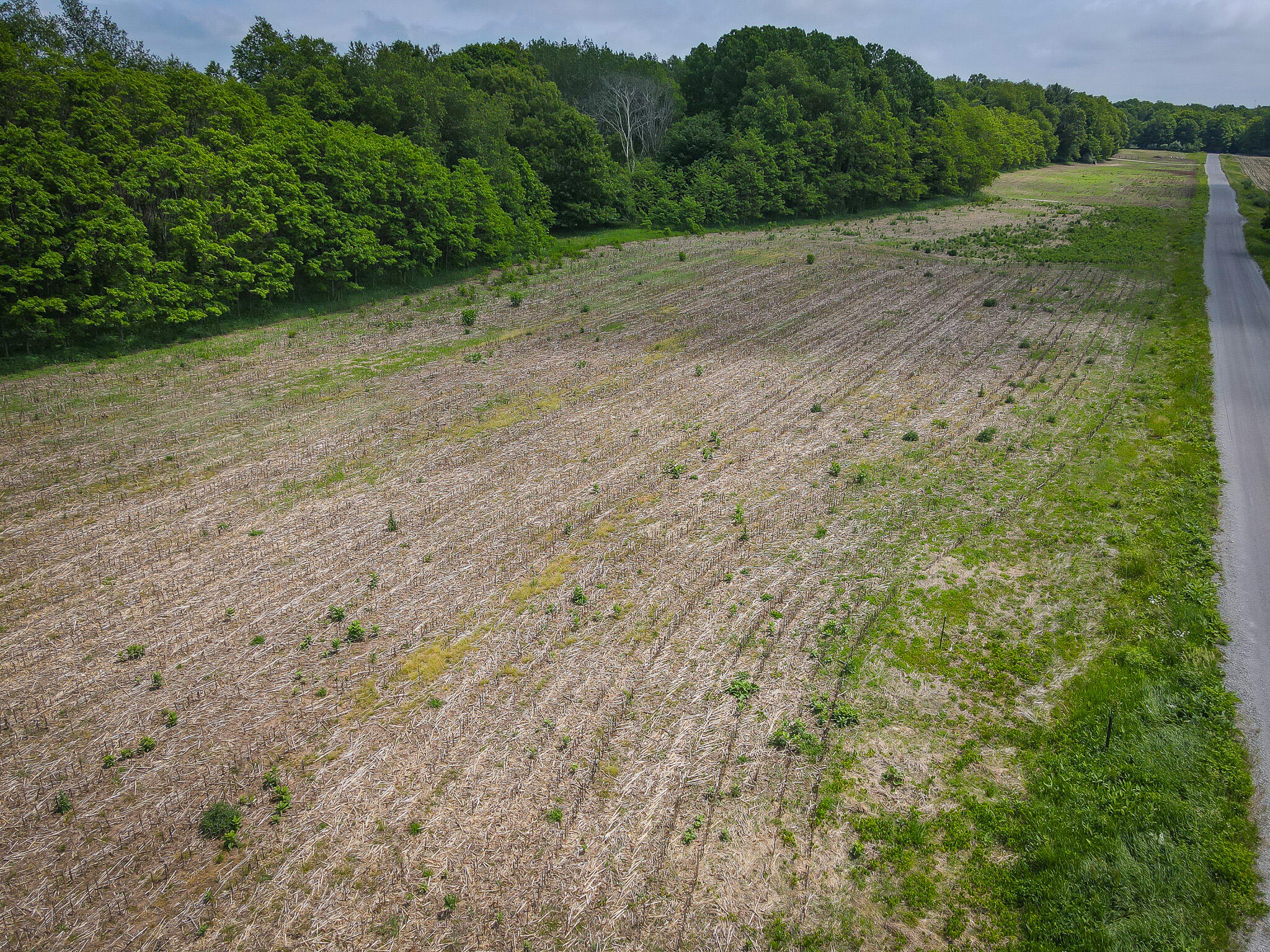 V/l West Johnson Road Shelby, MI 49455 - Photo 3 of 17 DJI_0378