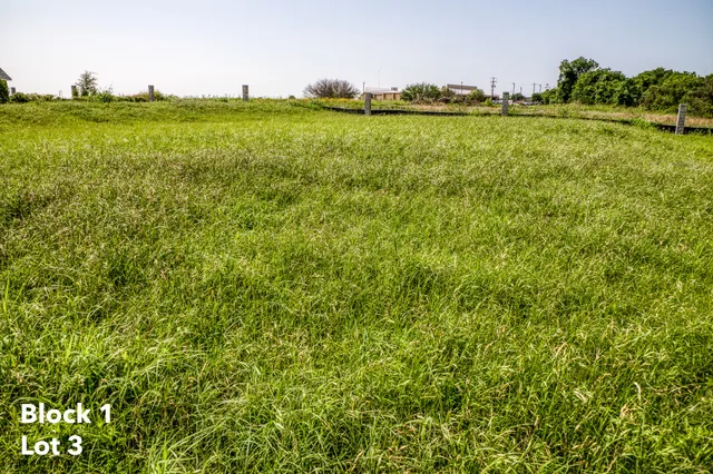 a view of a field with an ocean