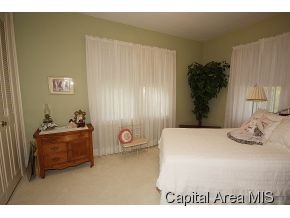 1021 North 1st Street Springfield, IL 62702 - Photo 10 of 12